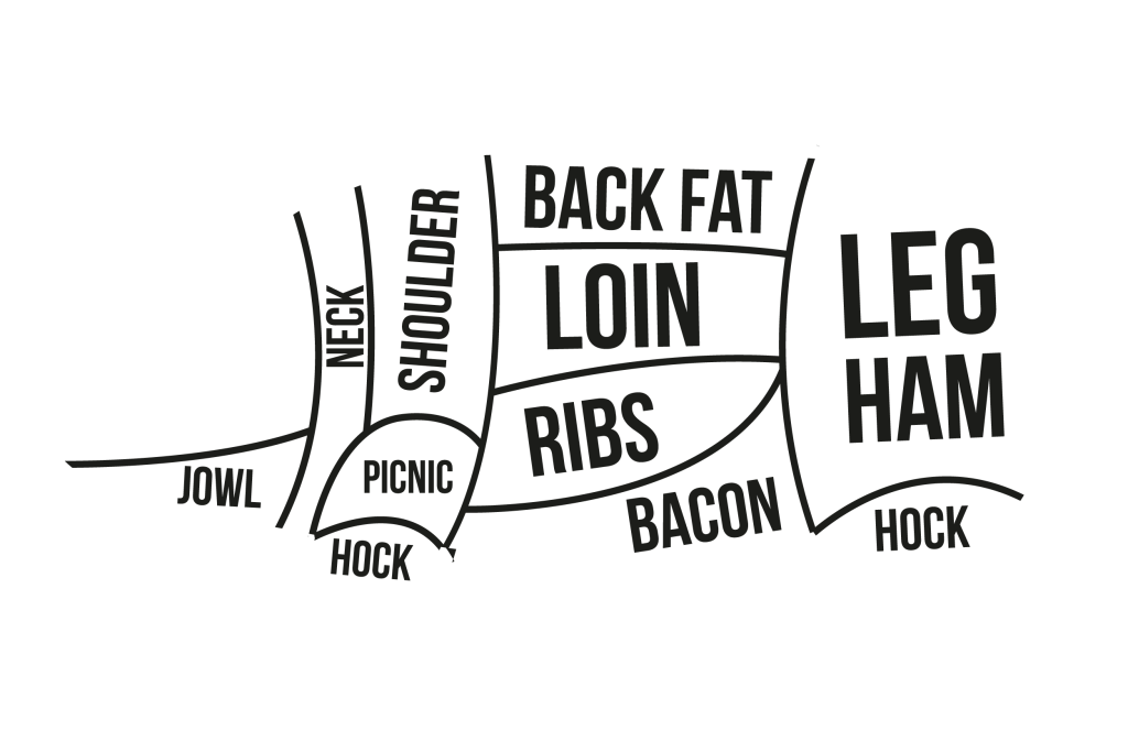 Black and white graphic that was made to show the various cuts of meat on a pig