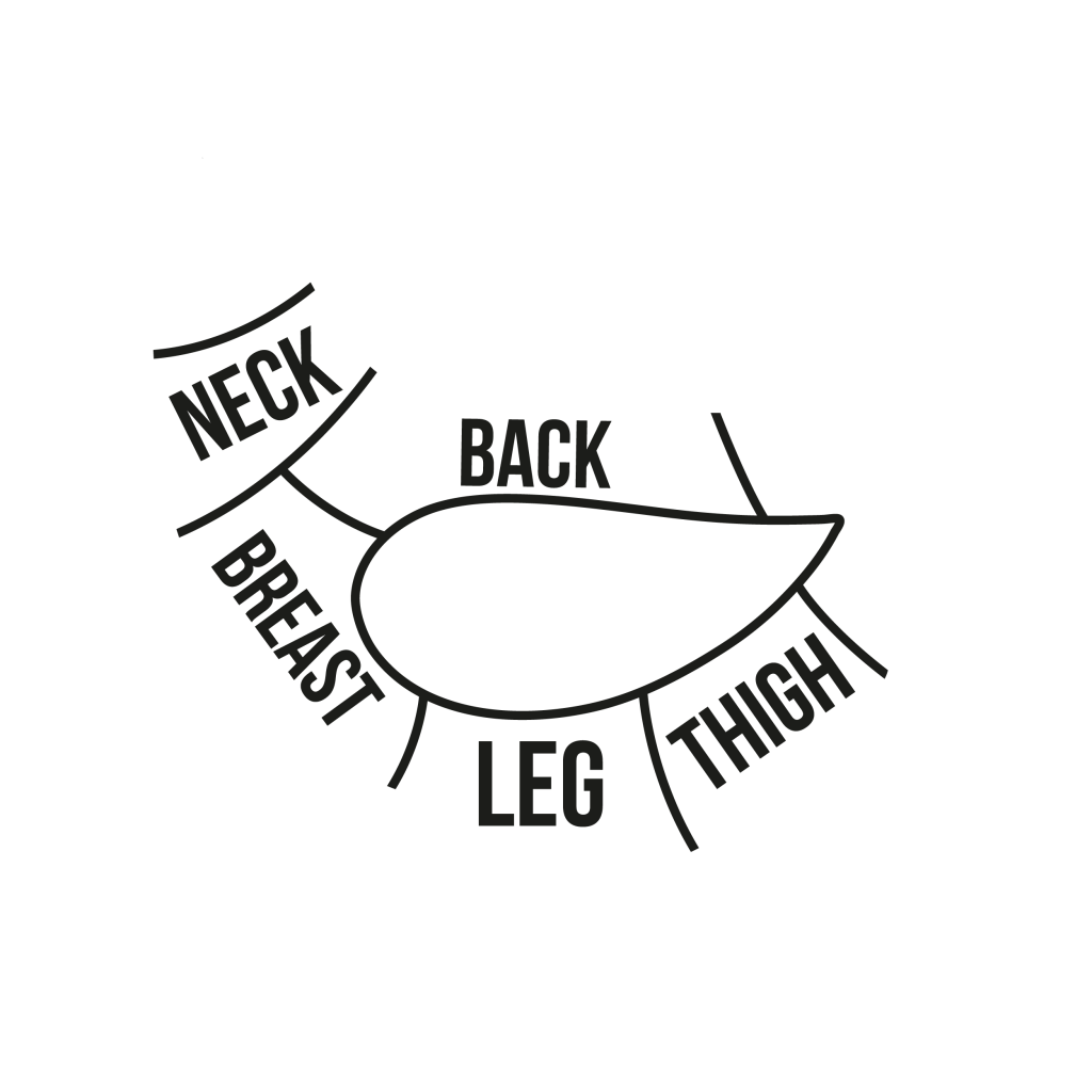 Black and white graphic that was made to show the various cuts of meat on a chicken.